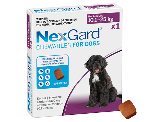 1pk NEXGARD chew for dogs 10.1-25 kg