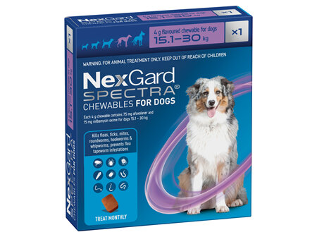 1pk NEXGARD SPECTRA chew for dogs 15.1-30 kg
