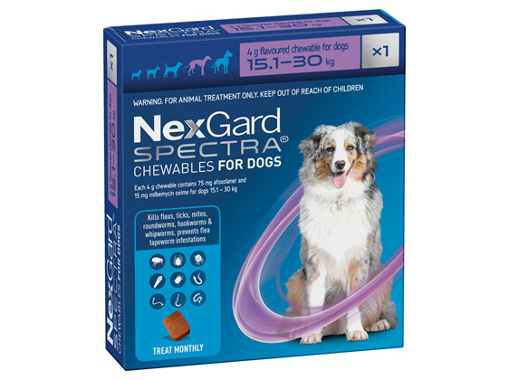 1pk NEXGARD SPECTRA chew for dogs 15.1-30 kg