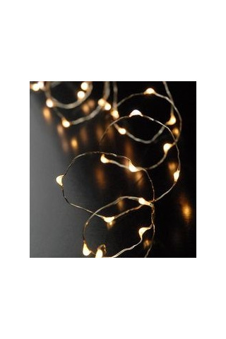 2m 20LED Silver Wire Seed Fairy Lights - Warm White - Party Lights Company