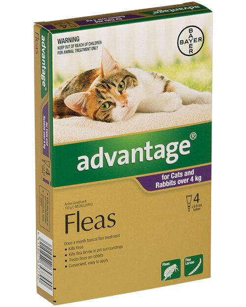 Advantage® Flea Treatment for Cats and Rabbits over 4kg,  4 or 6 pack