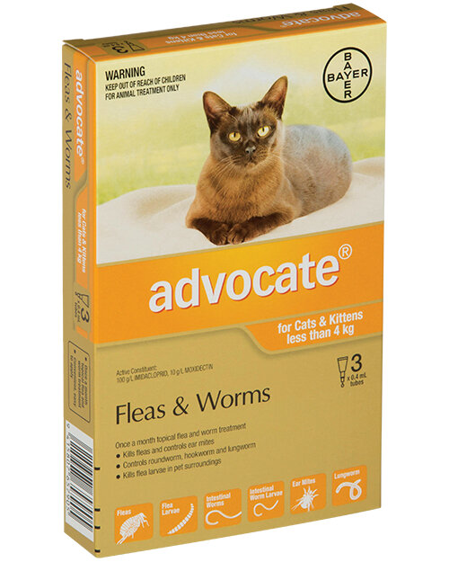 Advocate® Flea and Worm Treatment for Cats & Kittens less than 4kg, 3 or 6 pack
