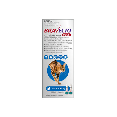 Bravecto Plus Cat for Medium Cats 2.8 - 6.25 kg - Blue - 4 month pack