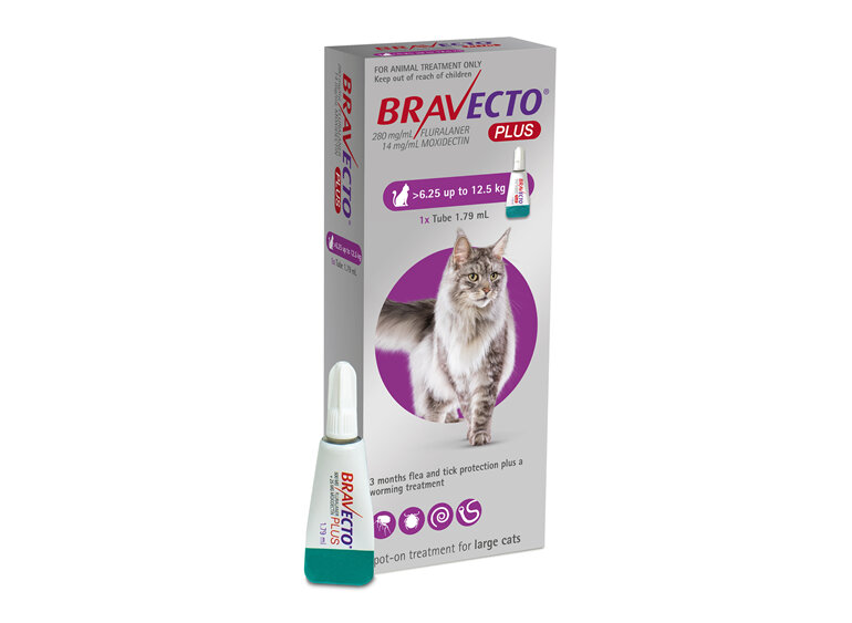 Bravecto Plus for cats - treats fleas, ticks and worms