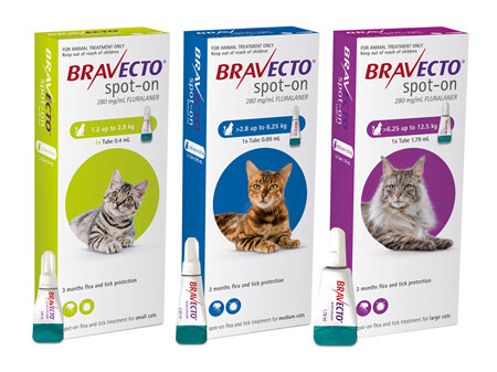 Bravecto spot-on for cats - treats fleas and ticks