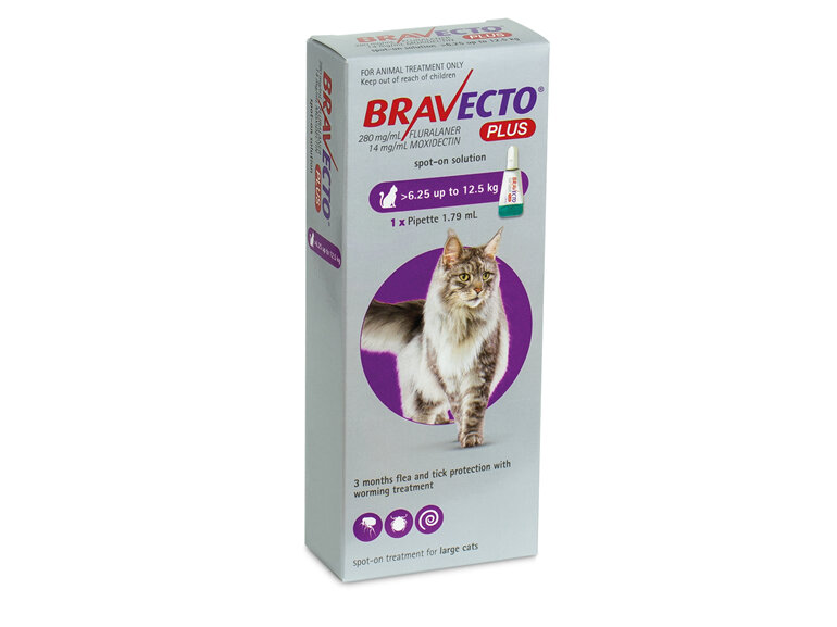 Bravecto Spot On PLUS for Cats