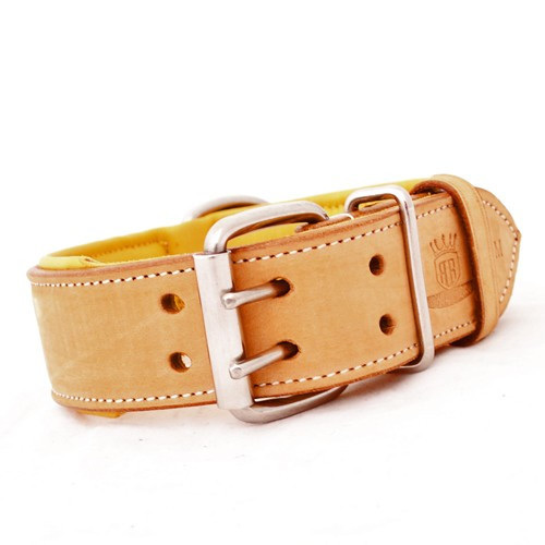 Tough Dog Collars Nz Tough Dog Collars Nz