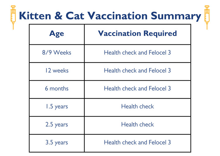 Cat and kitten vaccination schedule