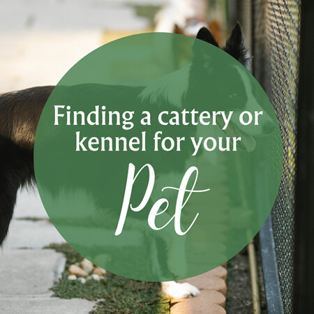 Finding the Perfect Cattery or Boarding Kennel for Your Pet