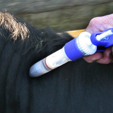 lepto 3-way vaccination for cattle