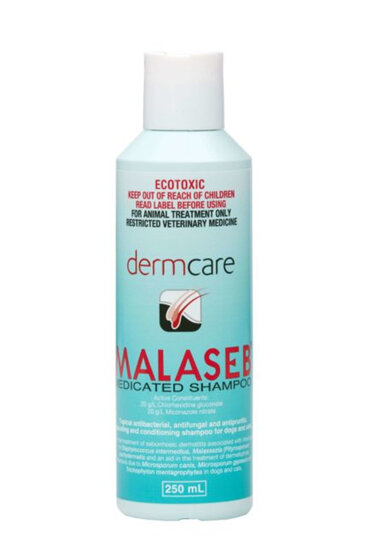 Malaseb for scaly, smelly or greasy skin