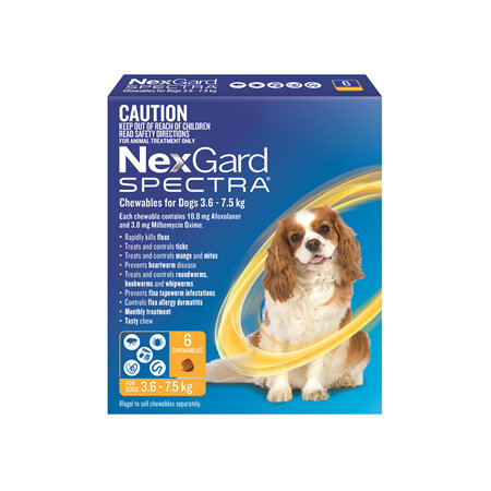 NexGard Spectra Chewables For Small Dogs (3.6-7.5 kg) 6 pack