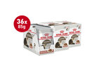 Royal Canin Ageing 12+ Slices in Gravy