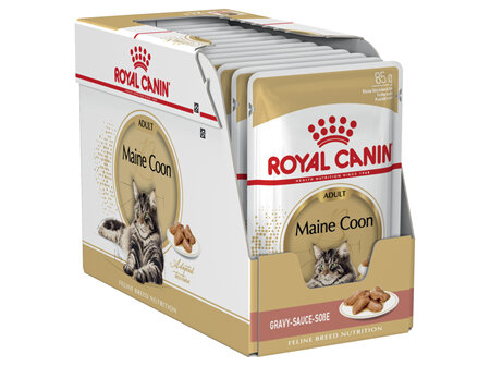 Royal Canin Maine Coon Gravy