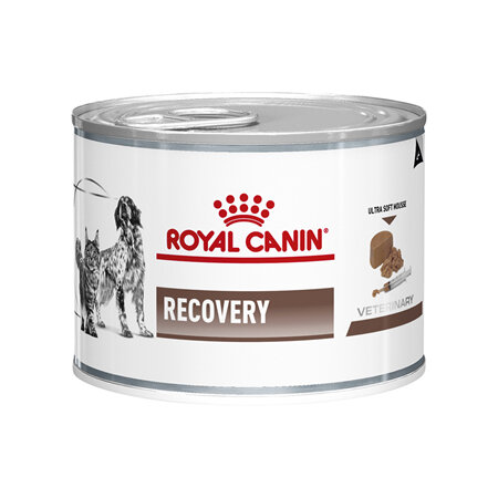 ROYAL CANIN® VETERINARY DIET Recovery Adult Wet (Cat & Dog) Food Cans 12 x 195g