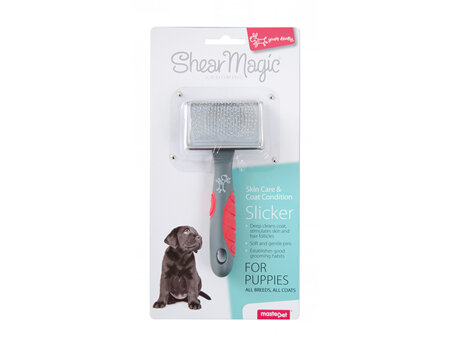Shear Magic Slicker Puppy